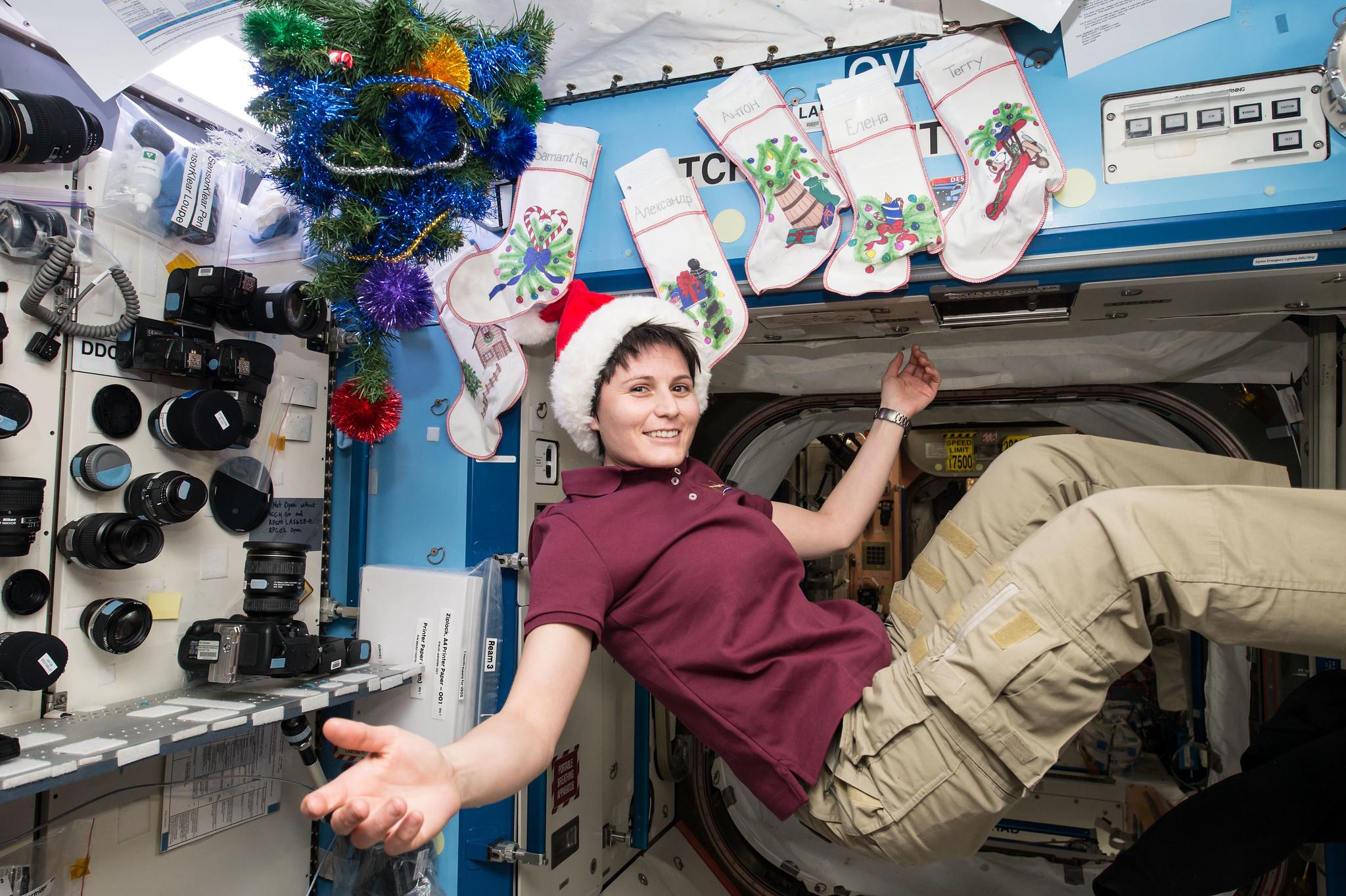 L'astronaute italienne Samantha Cristoforetti, membre de l'Expédition 42 et garante de la mission Futura en 2014  © NASA via Flickr